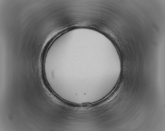 X0000113071122200909250923