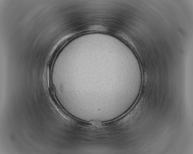 X0000113071123200909250923