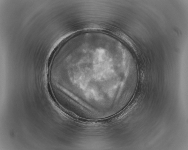 X0000113071124200909250923
