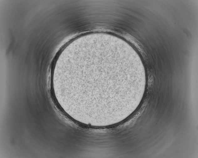 X0000113071126200909250924