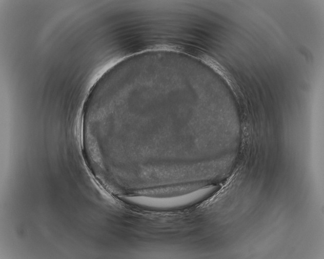 X0000113071127200909250924