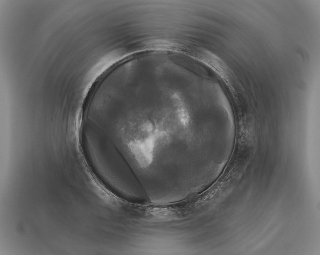 X0000113071128200909250924