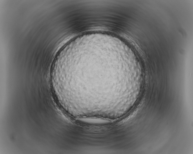X0000113071129200909250924