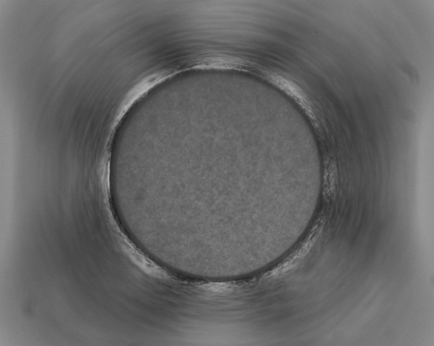 X0000113071130200909250924