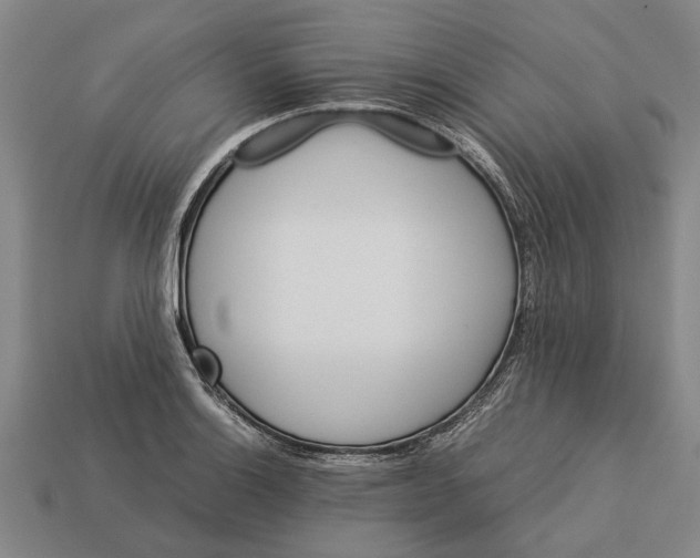 X0000113071132200909250924