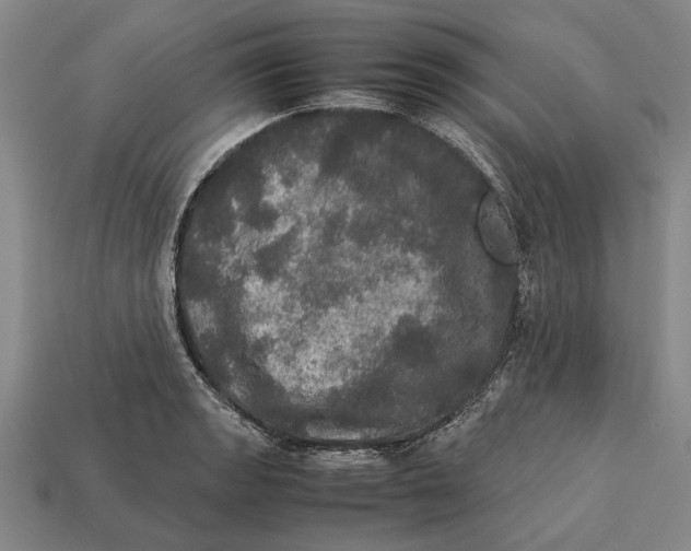 X0000113071133200909250924