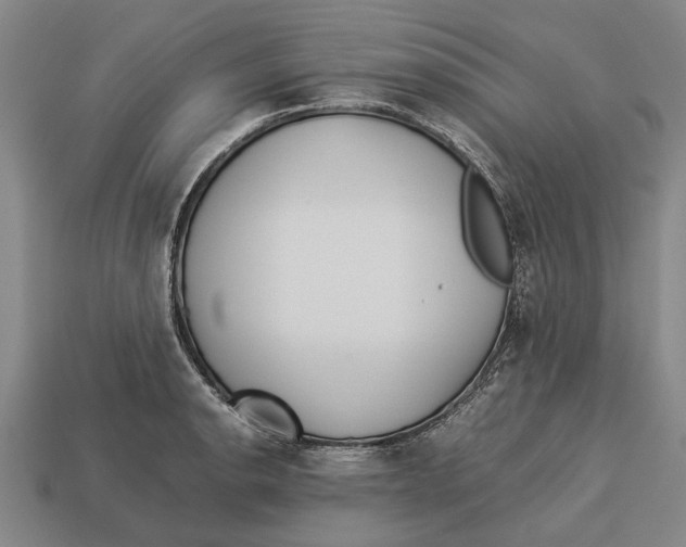 X0000113071134200909250924