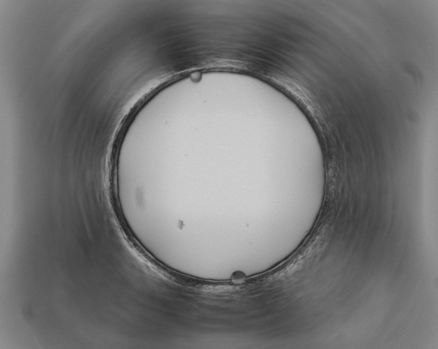 X0000113071135200909250924