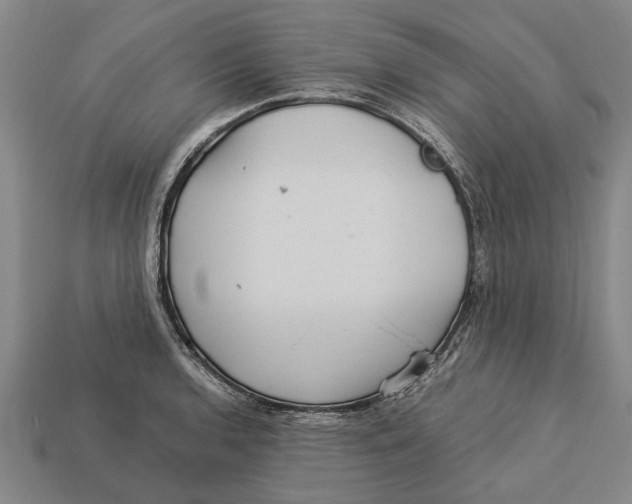 X0000113071136200909250924