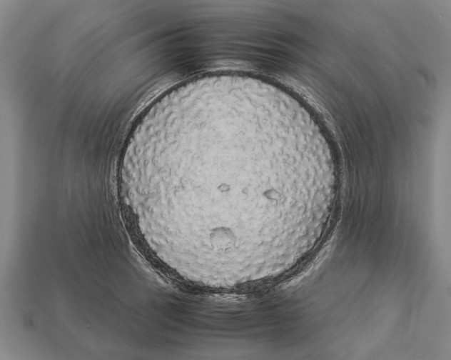 X0000113071137200909250924