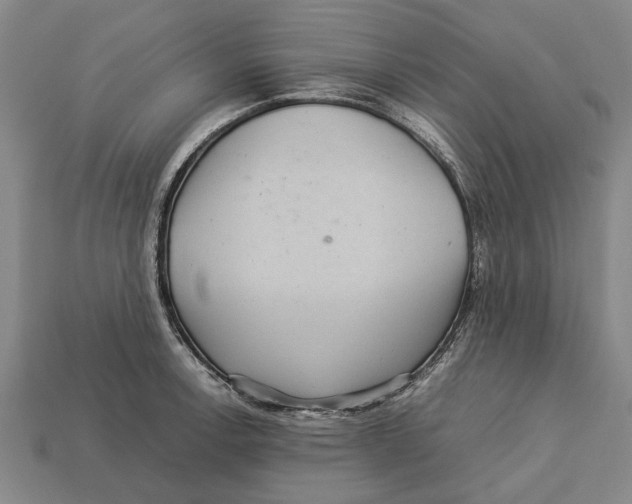 X0000113071138200909250924