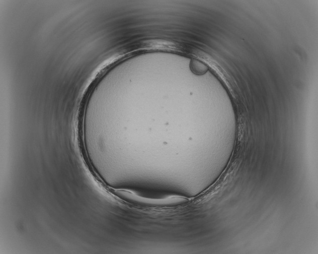 X0000113071139200909250924