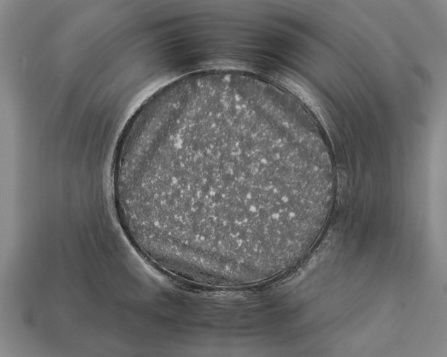 X0000113071141200909250924