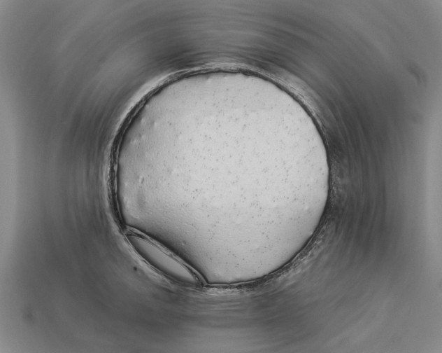 X0000113071142200909250924