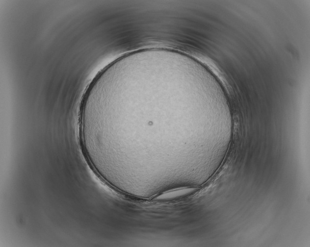 X0000113071143200909250924