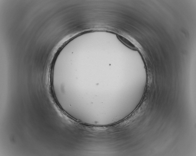 X0000113071144200909250924
