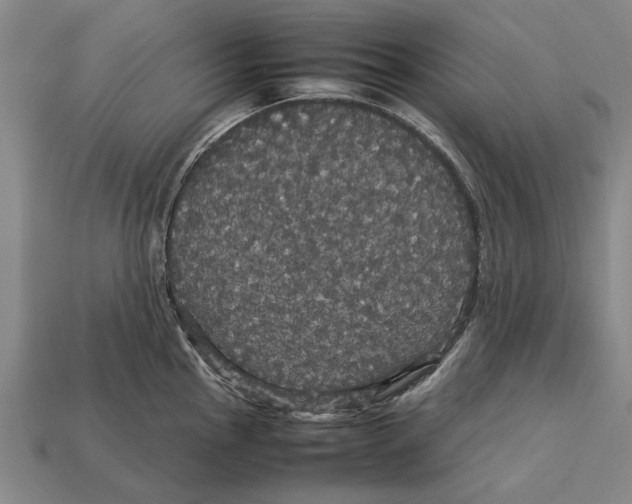 X0000113071145200909250924