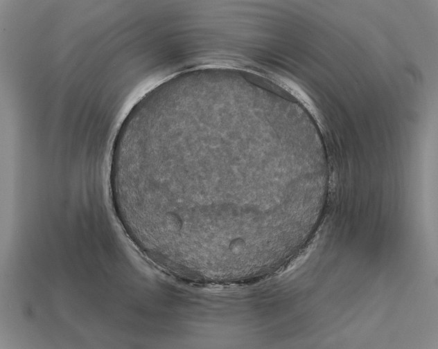 X0000113071146200909250924
