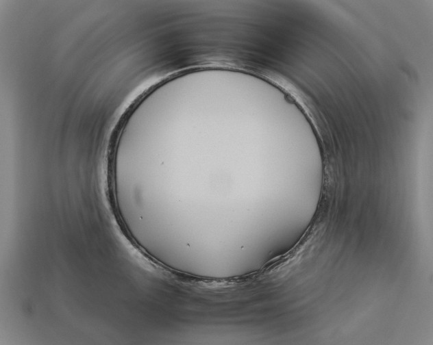 X0000113071147200909250924