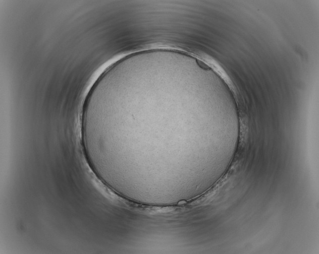 X0000113071148200909250924