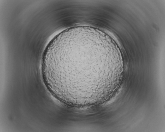 X0000113071149200909250924