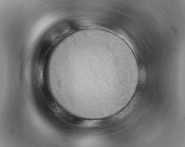 X0000113071150200909250924