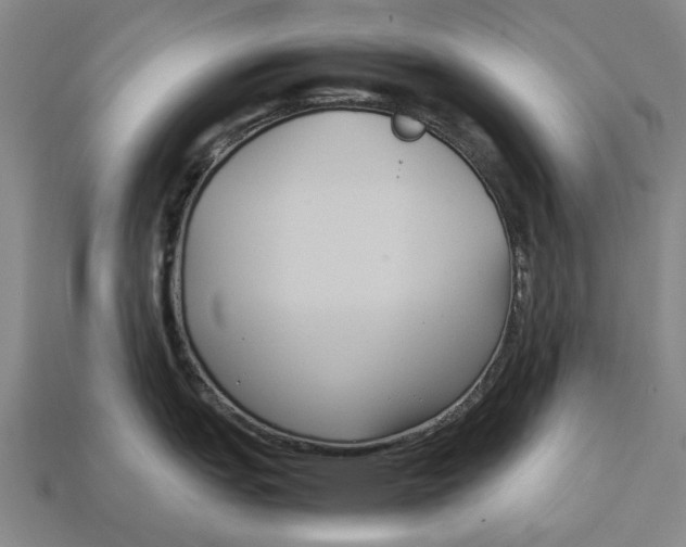 X0000113071151200909250924
