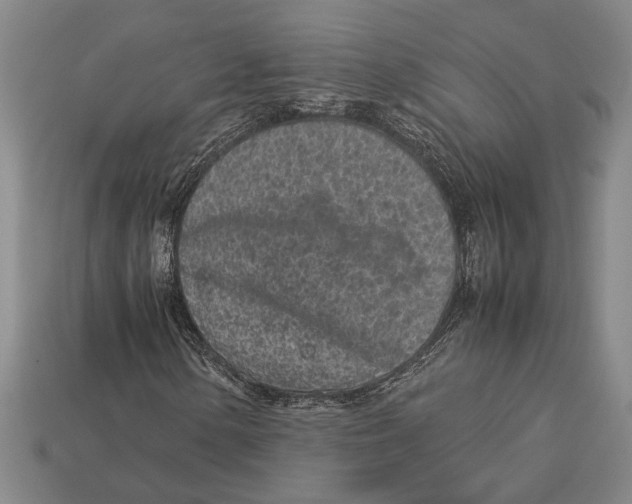 X0000113071154200909250923