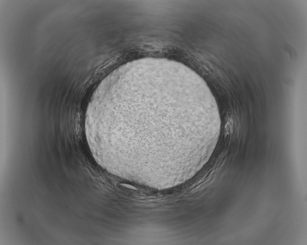 X0000113071156200909250923