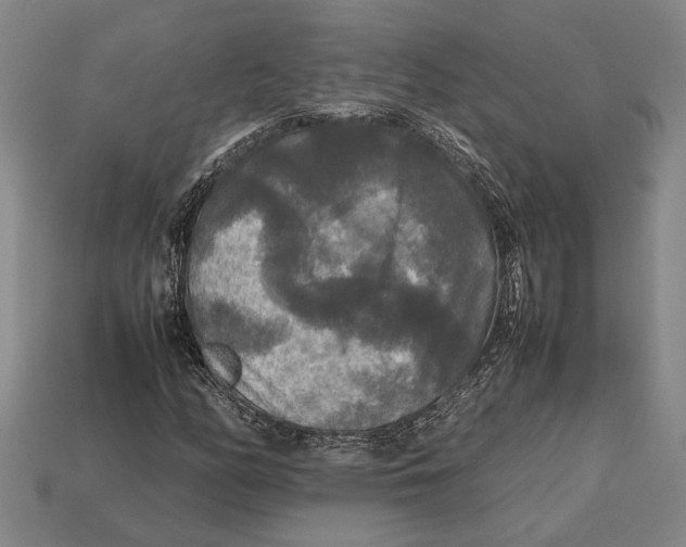 X0000113071158200909250923