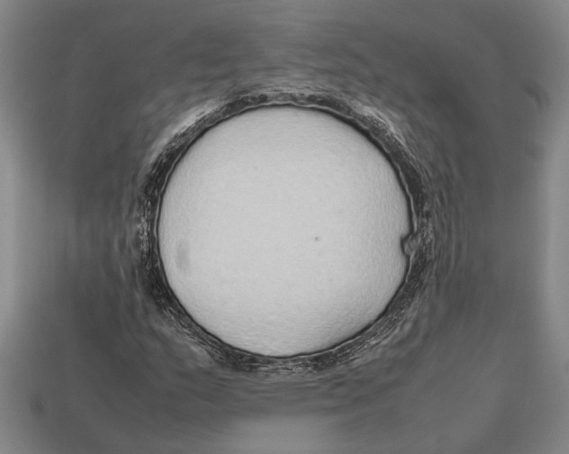 X0000113071159200909250923