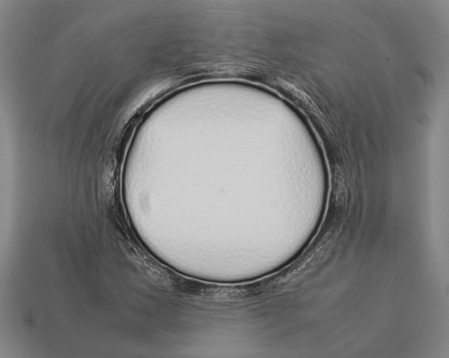X0000113071163200909250923