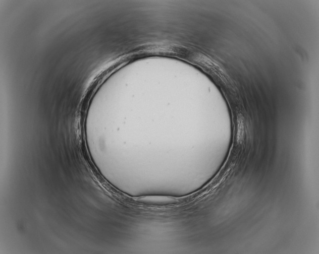 X0000113071164200909250923
