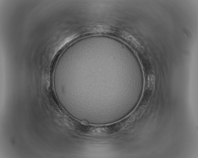 X0000113071165200909250923