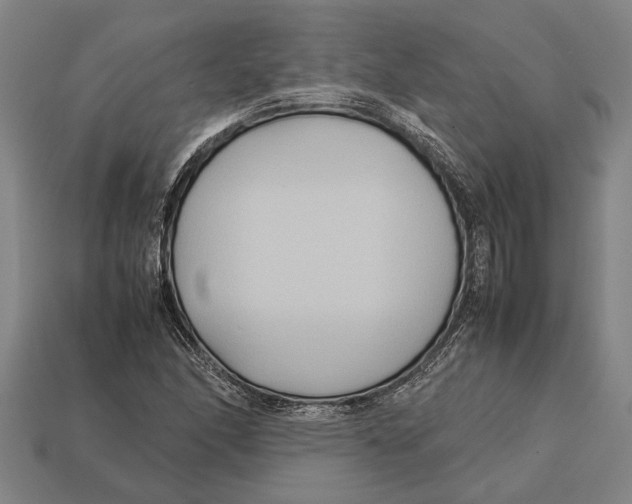 X0000113071166200909250923
