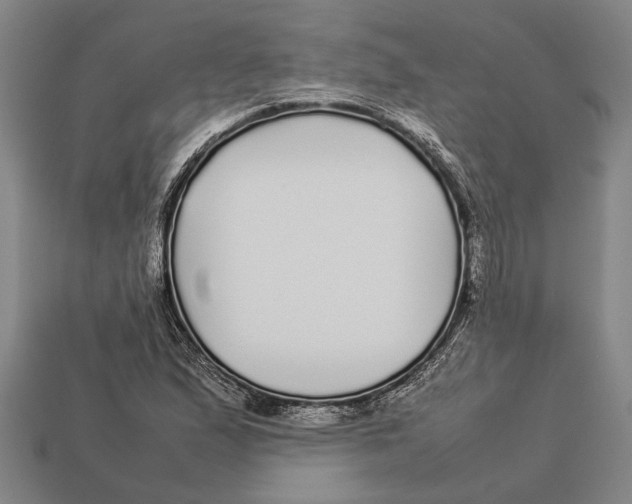 X0000113071167200909250923