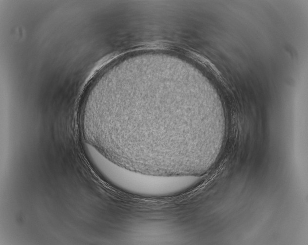 X0000113071168200909250923