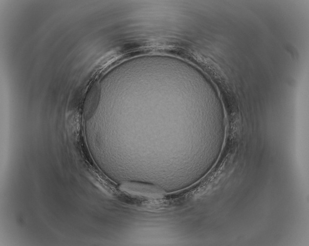 X0000113071169200909250923