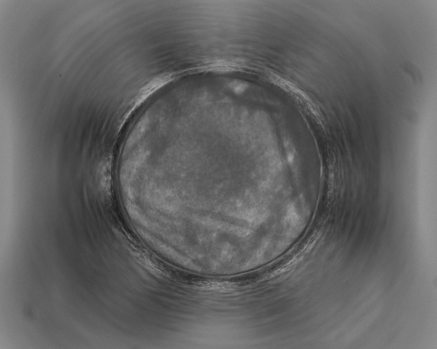 X0000113071170200909250923