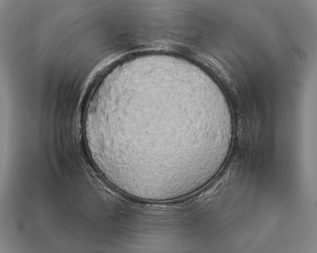 X0000113071172200909250923