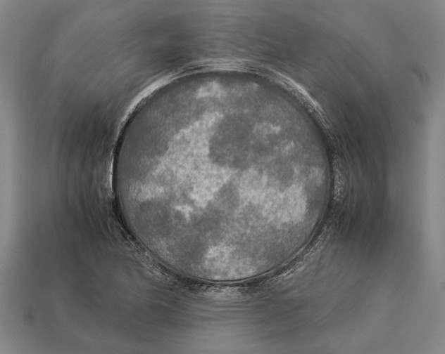 X0000113071174200909250923