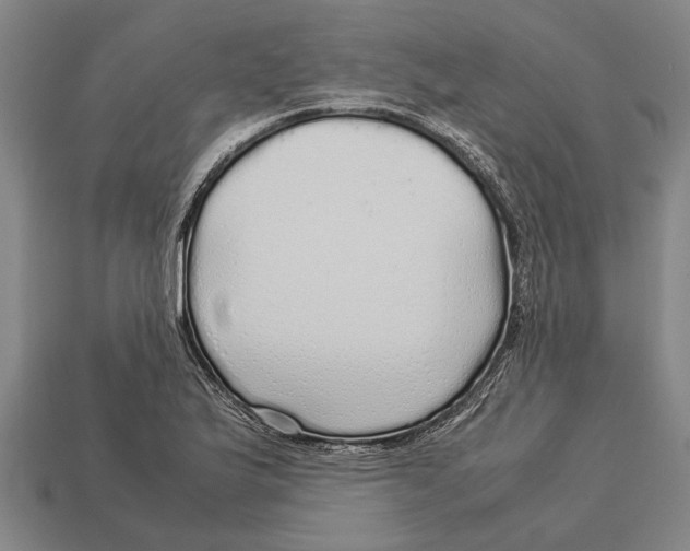 X0000113071175200909250923