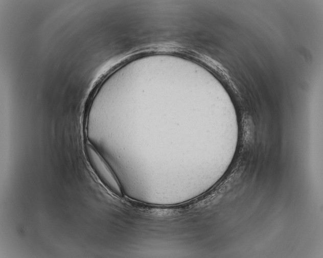 X0000113071176200909250923