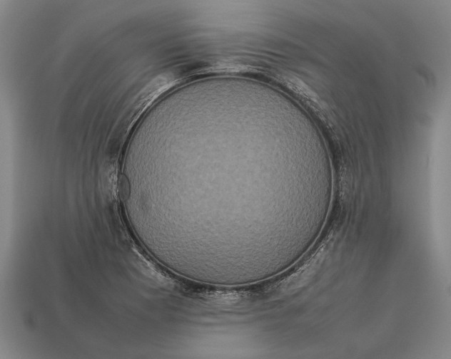 X0000113071177200909250923