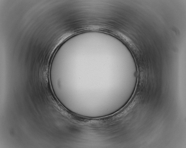 X0000113071178200909250923