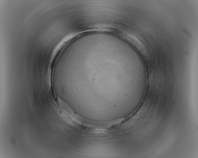 X0000113071180200909250923