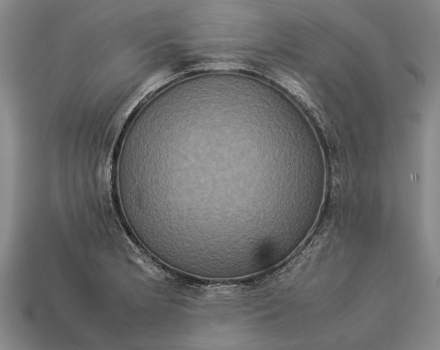 X0000113071181200909250923