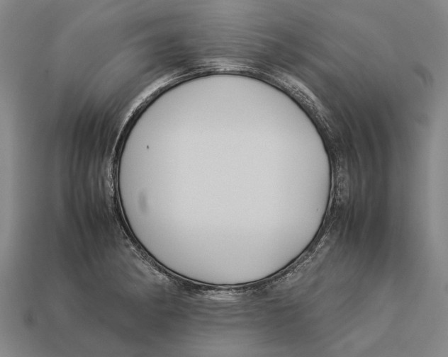 X0000113071182200909250923