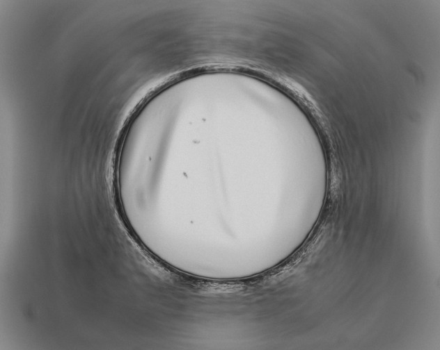 X0000113071183200909250923