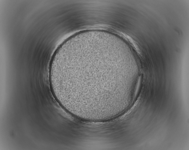 X0000113071184200909250923